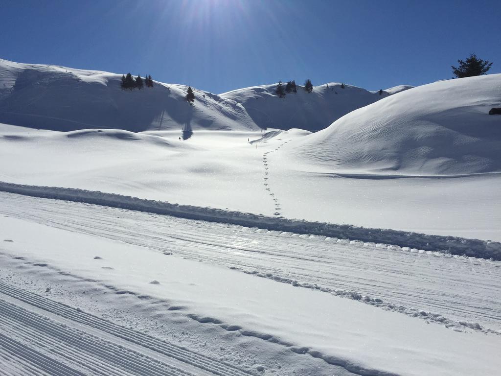 Appartements Ski Rent Michael كيتزبوهيل المظهر الخارجي الصورة
